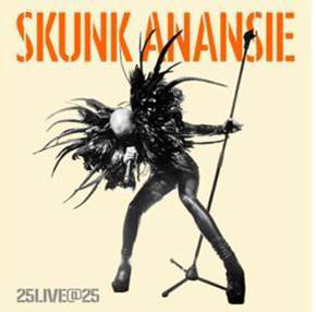 skunk anansie live25