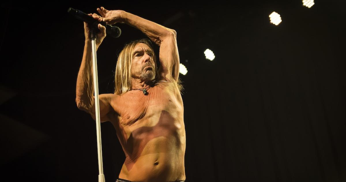 Elendig Glatte Museum Iggy Pop Salutes 2020 With New Song “Dirty Little Virus” | I Like Your Old  Stuff | Iconic Music Artists & Albums | Reviews, Tours & Comps